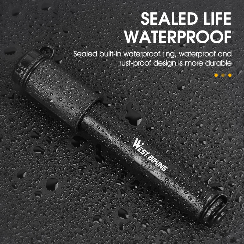WEST BIKING Mini Bike Pump 100 - Bike Pump Frame Mount review and price