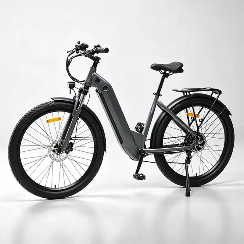 7 Speed 36V 250W Electric Bicy - Cycling Commute Speed review and price