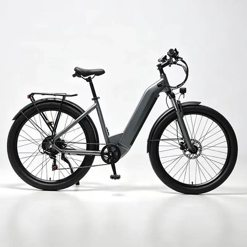7 Speed 36V 250W Electric Bicy - Cycling Commute Speed review and price