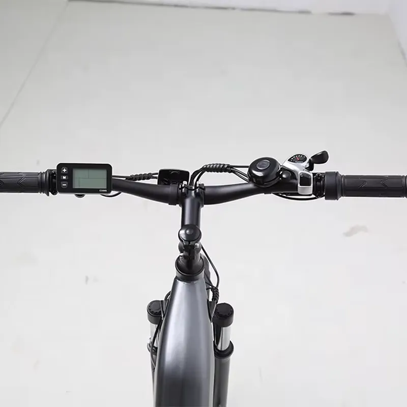 7 Speed 36V 250W Electric Bicy - Cycling Commute Speed review and price