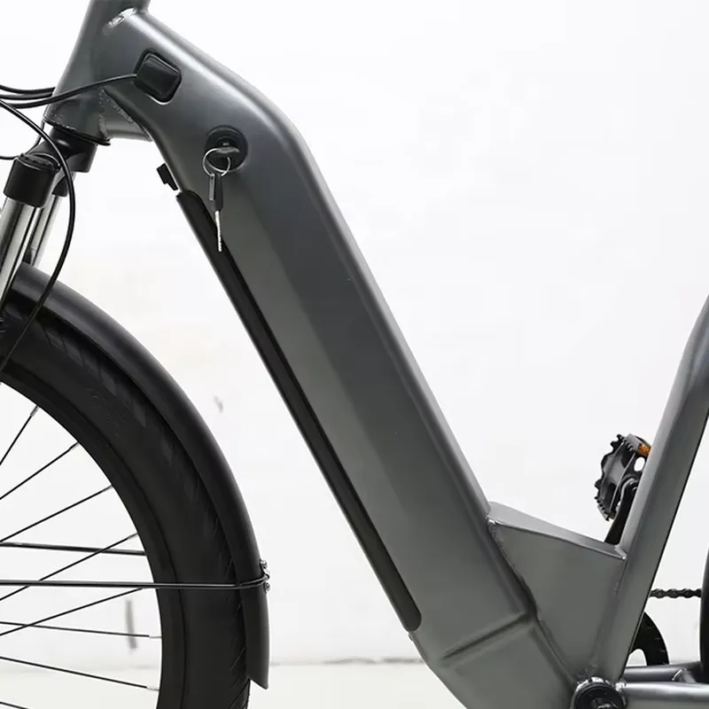 7 Speed 36V 250W Electric Bicy - Cycling Commute Speed review and price